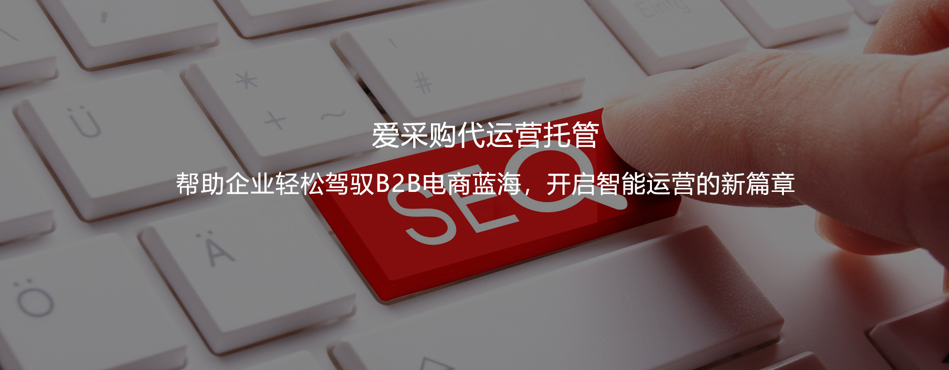 青岛爱采购托管,青岛爱采购运营,青岛爱采购推广,青岛爱采购开户